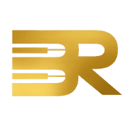 Borko Radivojević logo
